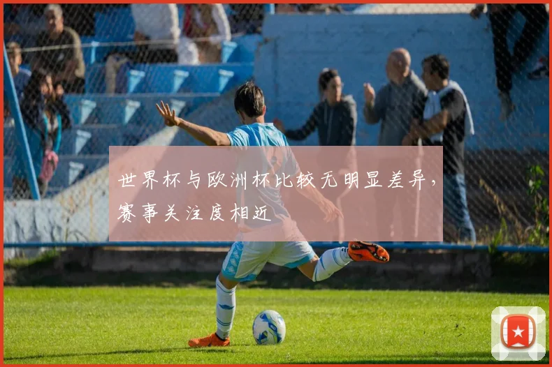 世界杯与欧洲杯比较无明显差异，赛事关注度相近