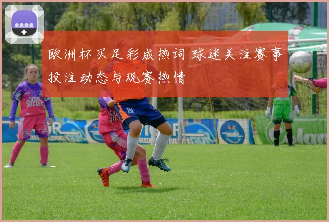 欧洲杯买足彩成热词 球迷关注赛事投注动态与观赛热情